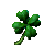Clover of Fortune