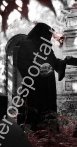 �������