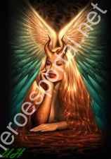 �������